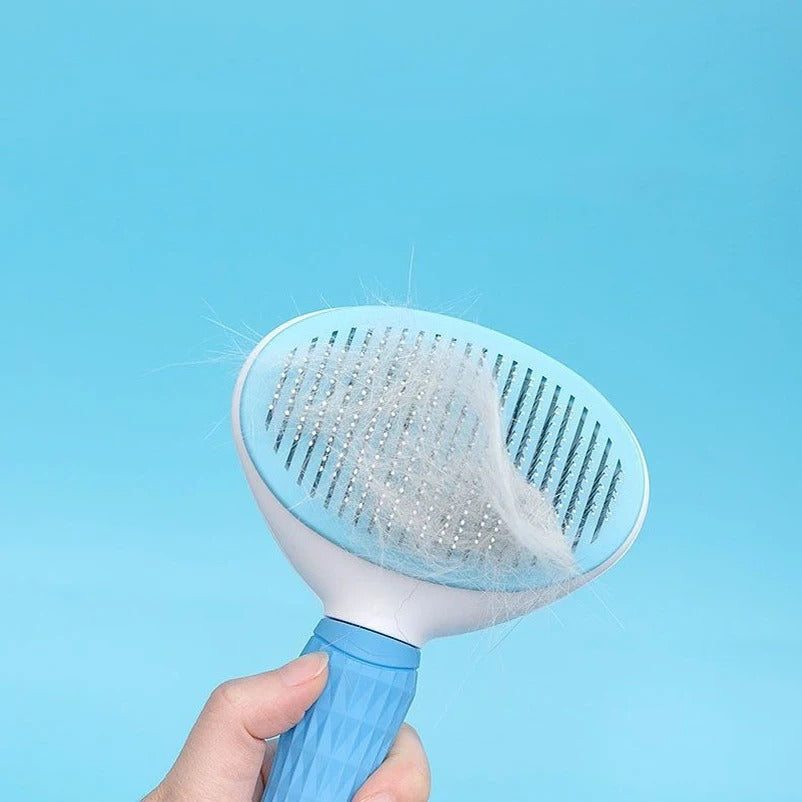 Pet Hair Removing Brush