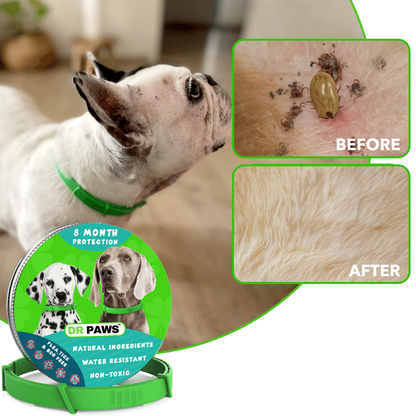 Dr Paws™ 8 Months Flea and Tick Free